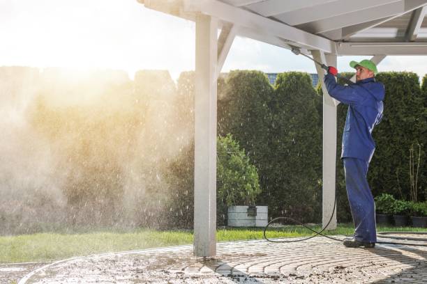 Best Fence Cleaning  in Hartselle, AL